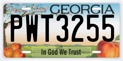GA license plate PWT3255