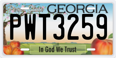 GA license plate PWT3259