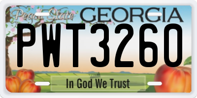 GA license plate PWT3260