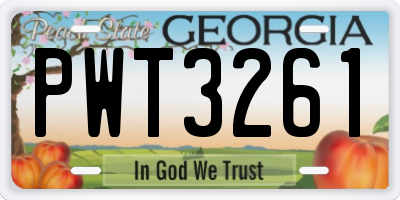 GA license plate PWT3261