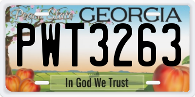 GA license plate PWT3263