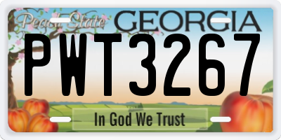 GA license plate PWT3267