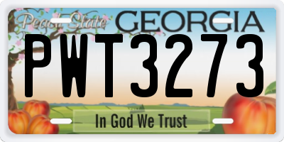 GA license plate PWT3273