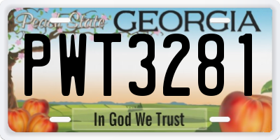 GA license plate PWT3281