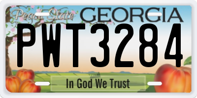 GA license plate PWT3284