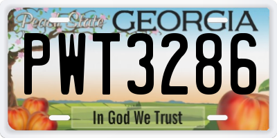 GA license plate PWT3286