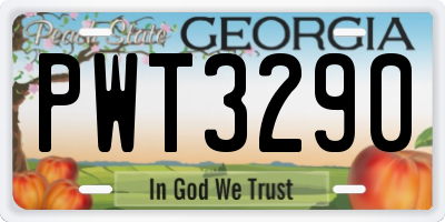 GA license plate PWT3290