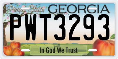 GA license plate PWT3293