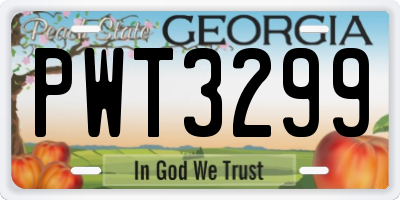 GA license plate PWT3299