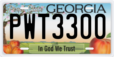 GA license plate PWT3300