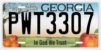 GA license plate PWT3307