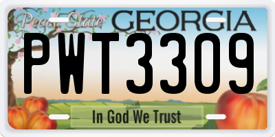GA license plate PWT3309