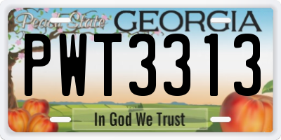 GA license plate PWT3313