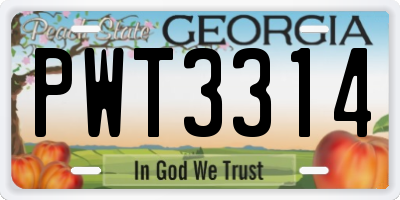 GA license plate PWT3314