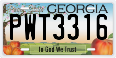GA license plate PWT3316