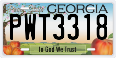 GA license plate PWT3318