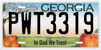 GA license plate PWT3319