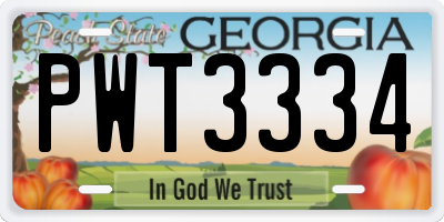 GA license plate PWT3334
