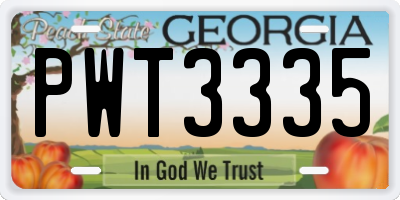GA license plate PWT3335