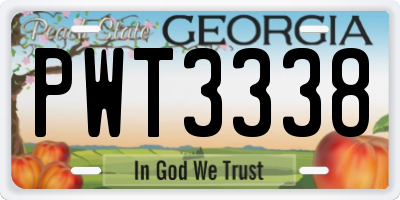 GA license plate PWT3338