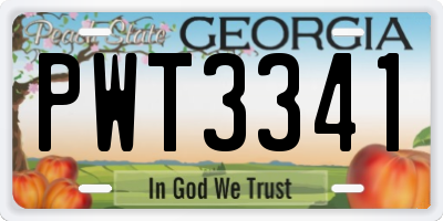 GA license plate PWT3341