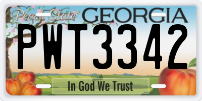GA license plate PWT3342