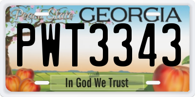 GA license plate PWT3343