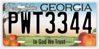 GA license plate PWT3344