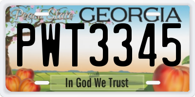 GA license plate PWT3345