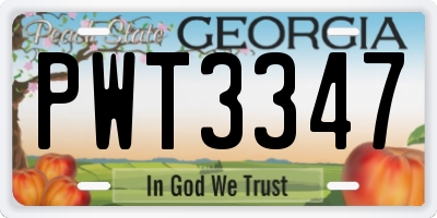 GA license plate PWT3347