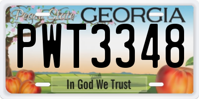 GA license plate PWT3348