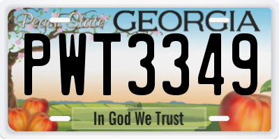 GA license plate PWT3349