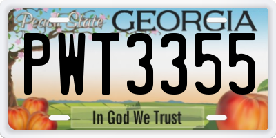GA license plate PWT3355