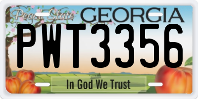 GA license plate PWT3356