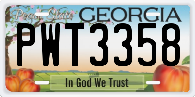 GA license plate PWT3358