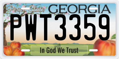 GA license plate PWT3359