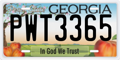 GA license plate PWT3365