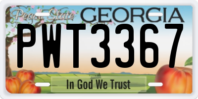 GA license plate PWT3367