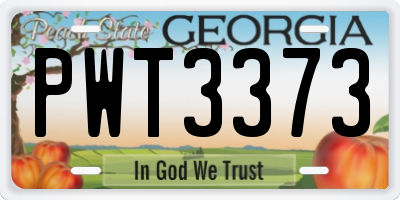 GA license plate PWT3373