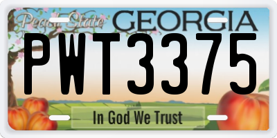 GA license plate PWT3375