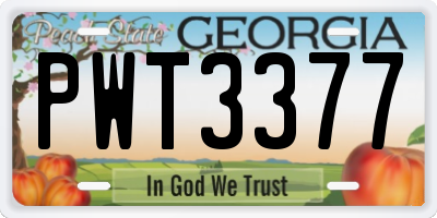GA license plate PWT3377