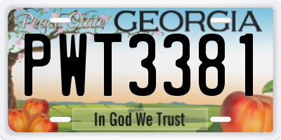 GA license plate PWT3381