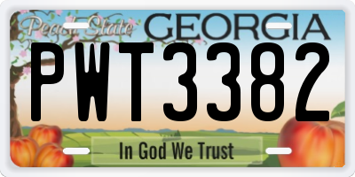 GA license plate PWT3382
