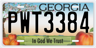 GA license plate PWT3384