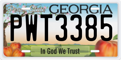GA license plate PWT3385
