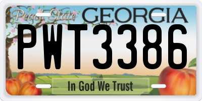 GA license plate PWT3386