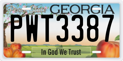 GA license plate PWT3387