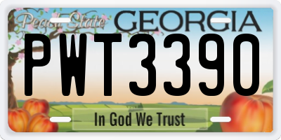 GA license plate PWT3390