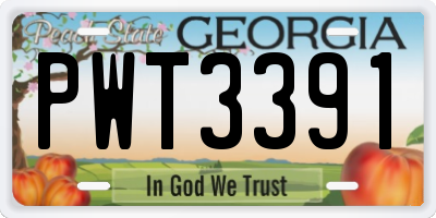 GA license plate PWT3391