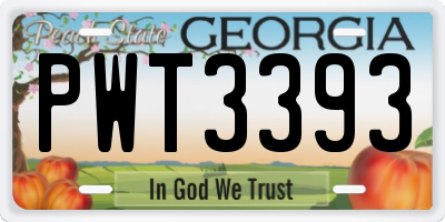 GA license plate PWT3393